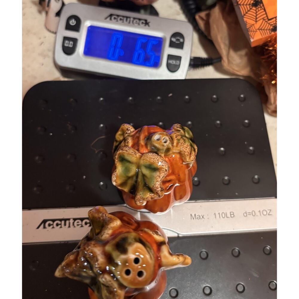Pumpkin & Gourd Autumn Thanksgiving Fall Salt & Pepper Shakers Set - New - Picture 6 of 6